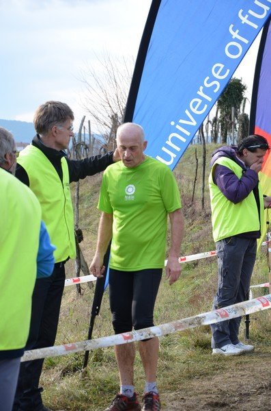 Tek Biljanski gri 269 i 336